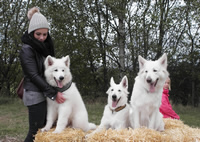 forrest,coralie ,dash